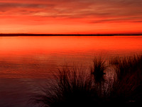Marsh Sunset