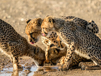 Water Is Life - Botswana