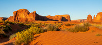 Red Dunes and Rabbit Brush