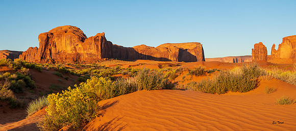 Red Dunes and Rabbit Brush