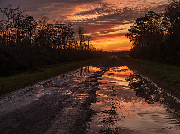 Sunset Solace