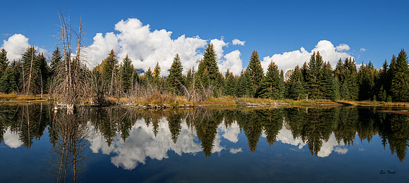 Shoreline Reflection, Schwabacker, WY