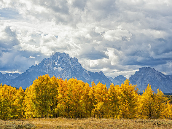 Mount Moran and Aspen, Tetons, WY