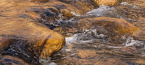 Liquid Gold, Colorado