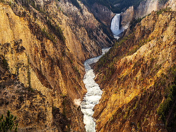 Yellowstone Falls Aglow