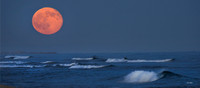 Shine On Harvest Moon