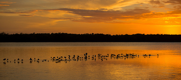 Sanibel Sunset