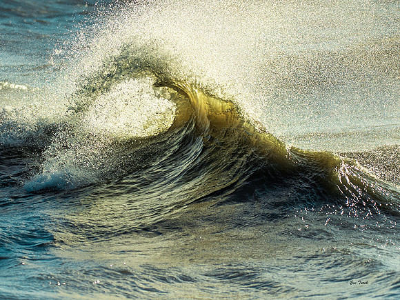 Wave Heart