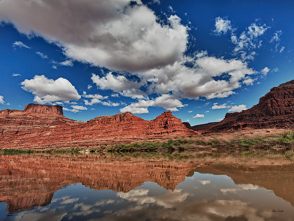 Colorado River Reflection