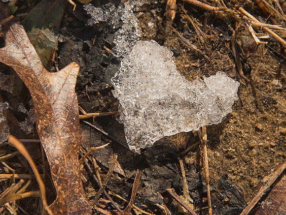 Love in Every Season