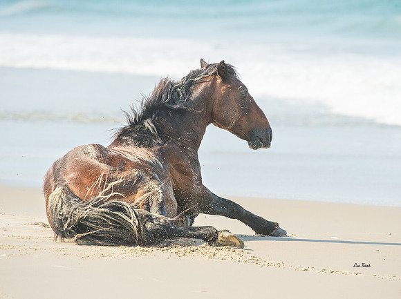 Sand Bath