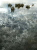 Marsh Mosaic