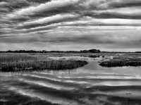 Dusk On The Marsh