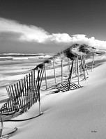 Fences