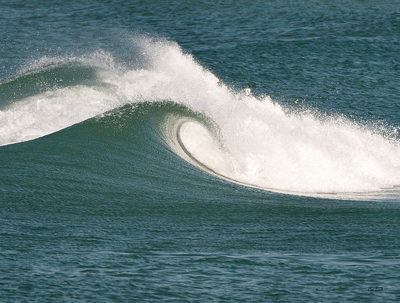 Wave Curl