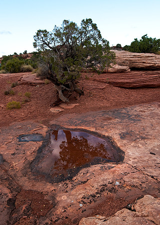 Heart of the Desert