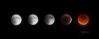 Lunar Eclipse Composite