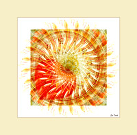 Timekeeper's Shield