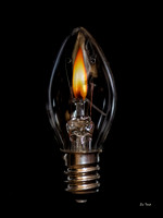 Light the Fire Within