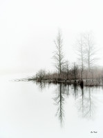 Mystic Fog