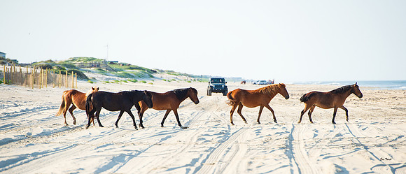 Crossing the Sand 2019