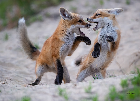 Playtime