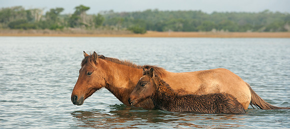 Swim Practice - Beaufort NC