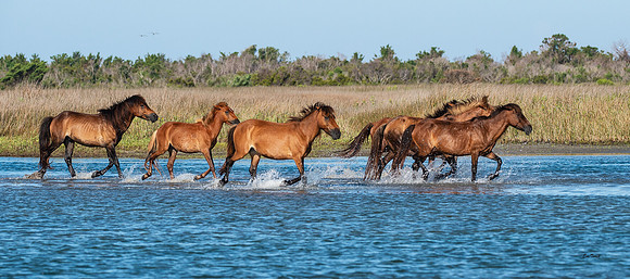 Water Race - Beaufort NC