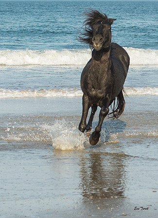Charging from the surf 2016