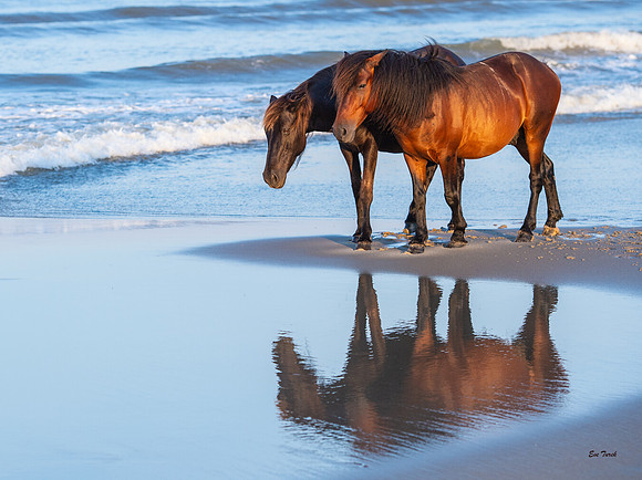 Pair Reflection