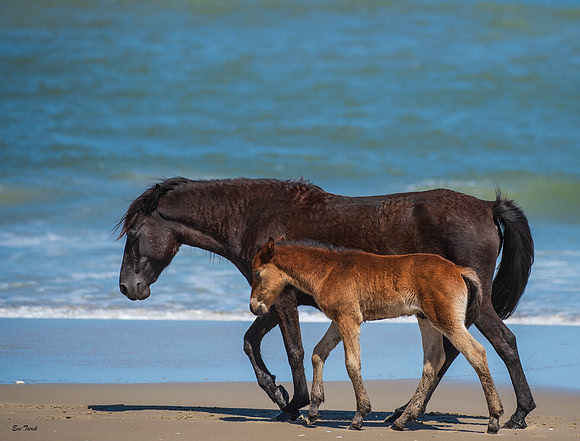 In Step - Renzi and Mom 2019