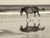 Bay Reflection SEPIA