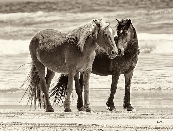 Something to Talk About SEPIA