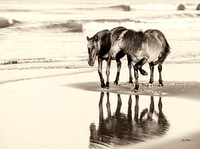 Pair Reflection SEPIA