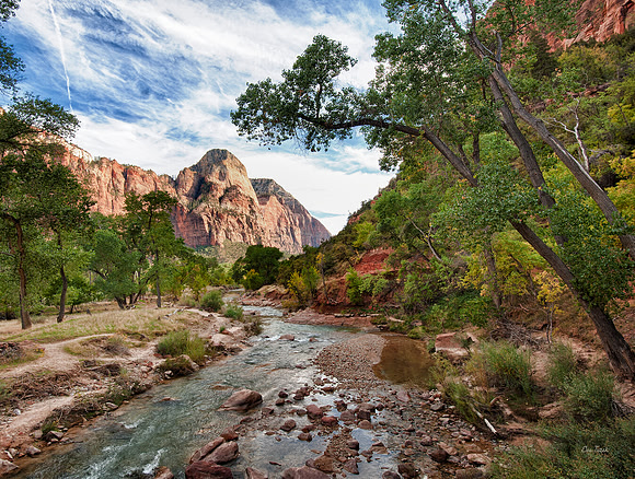 Essence of Zion