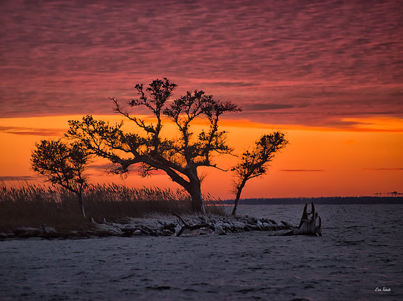 Sunset Fire