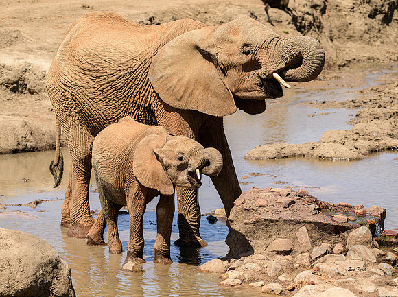 In Sync - South Africa