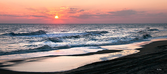 Sun-kissed Morning