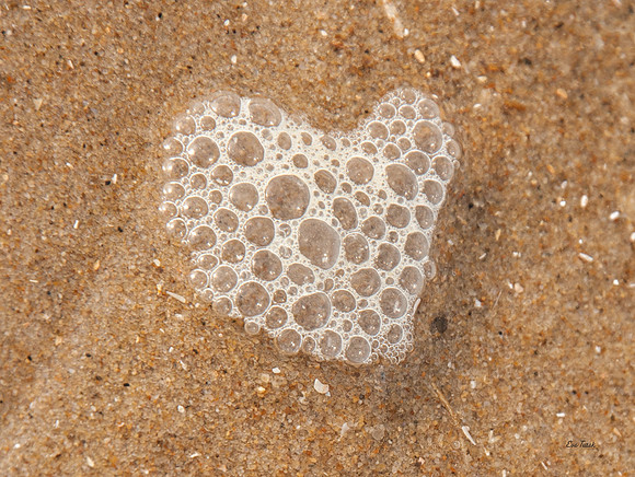 Sea Bubble Heart
