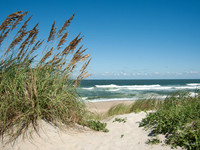 Dune Path