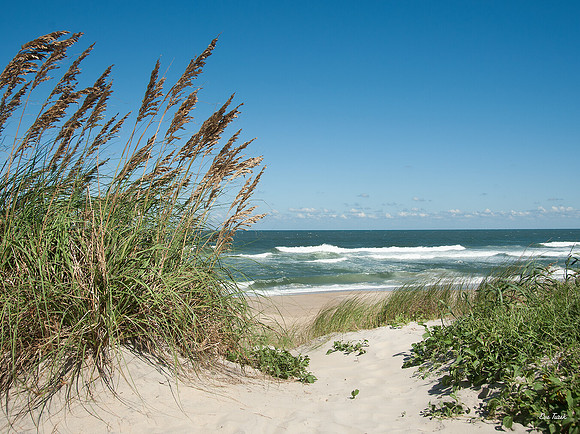 Dune Path