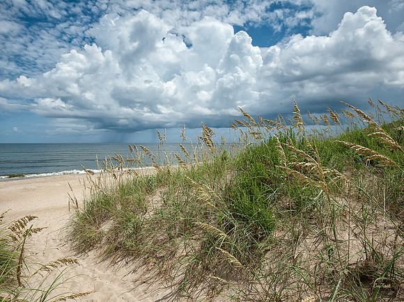Outer Banks August